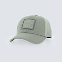 color_fern